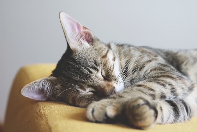 How to increase deep sleep time