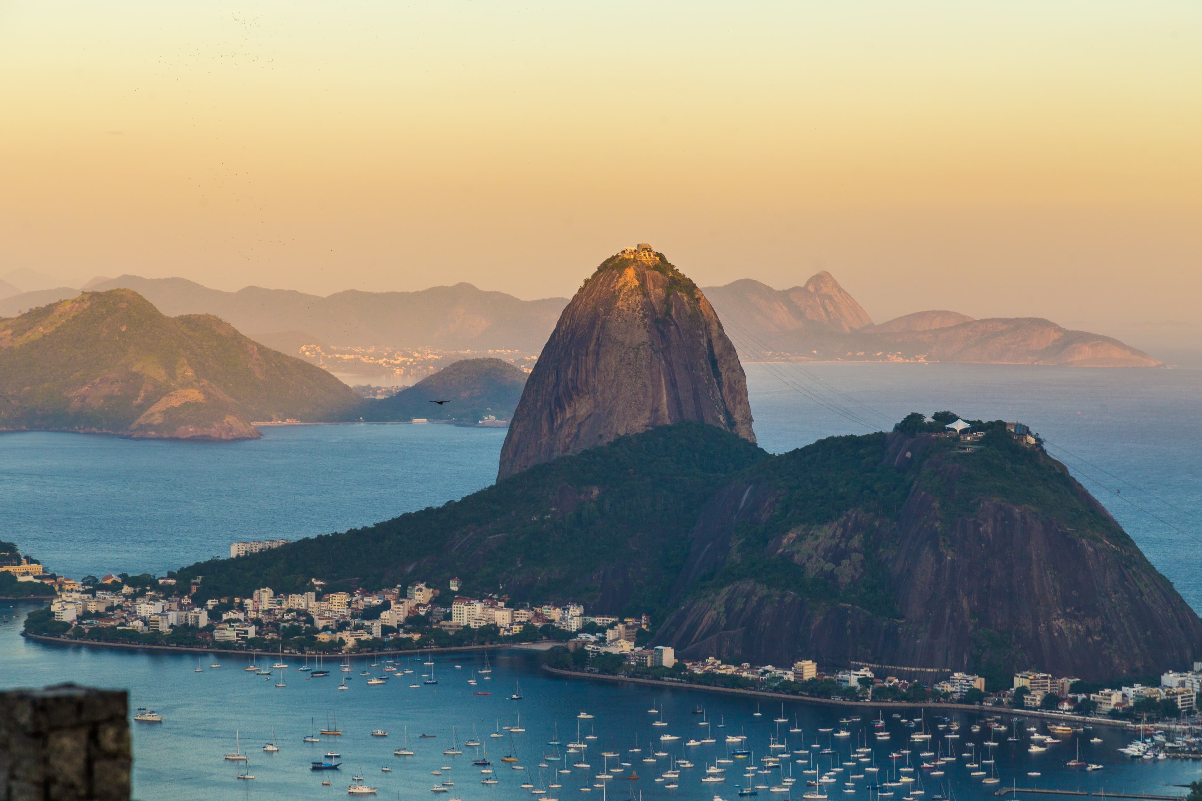 pexels-joao-ricardo-januzzi-9229102.jpg
